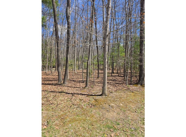 104 Winston Place, Daniels, WV 25832