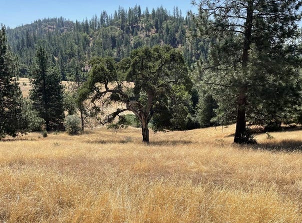 Forrest Road 1N19, Twain Harte, CA 95379