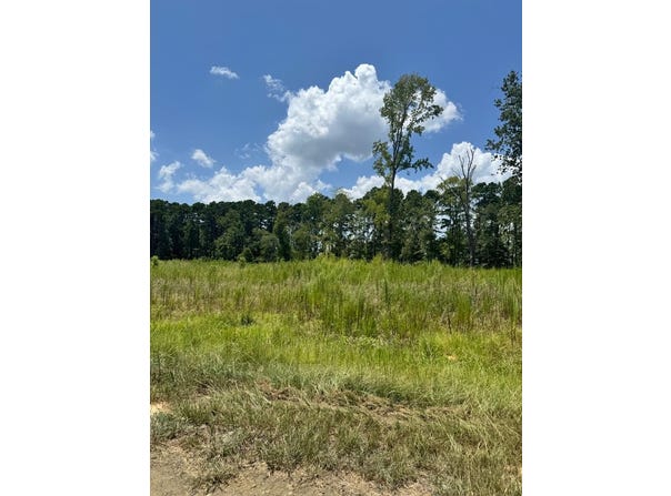 R28429 Private Rd 7700, San Augustine, TX 75972