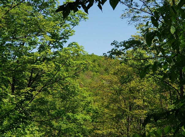 Beaver Meadow Road, Roxbury, VT 05669