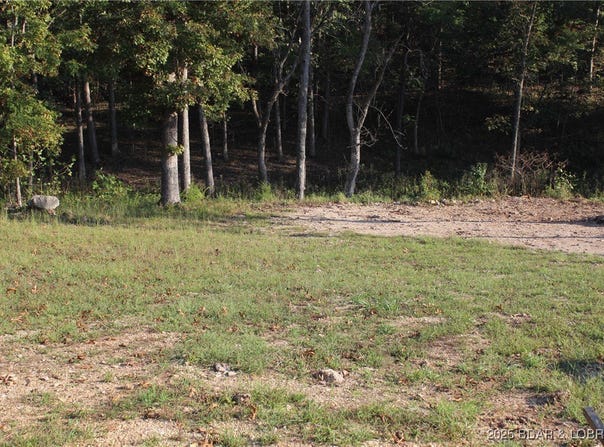 Mayerling Drive lot: 19, Laurie, MO 65037