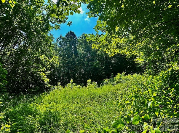 75 Fork Creek Road, Saluda, NC 28773