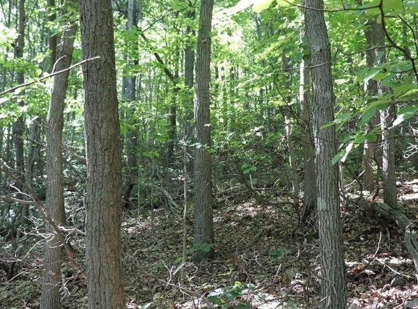 Lot 320 Ridge Run, Claysburg, PA 16625