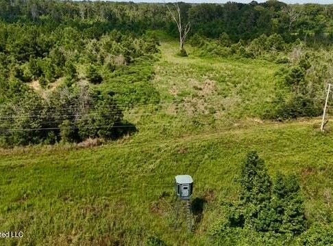 Stump Road, Gloster, MS 39638