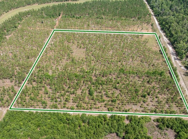 Live Oak, FL 32060
