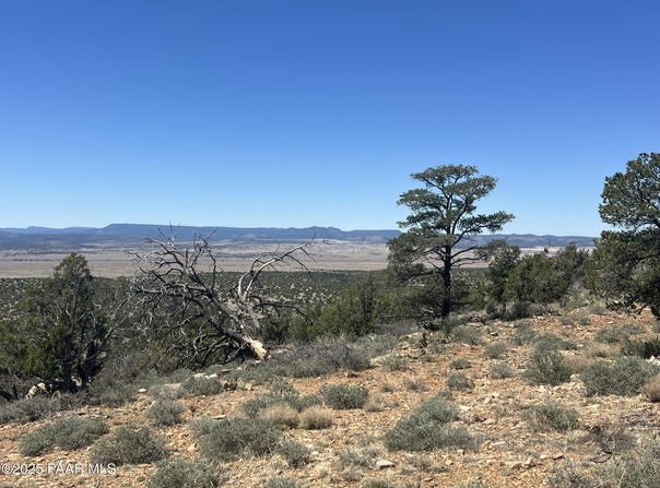 295 Old Deputy Shortline, Ash Fork, AZ 86320
