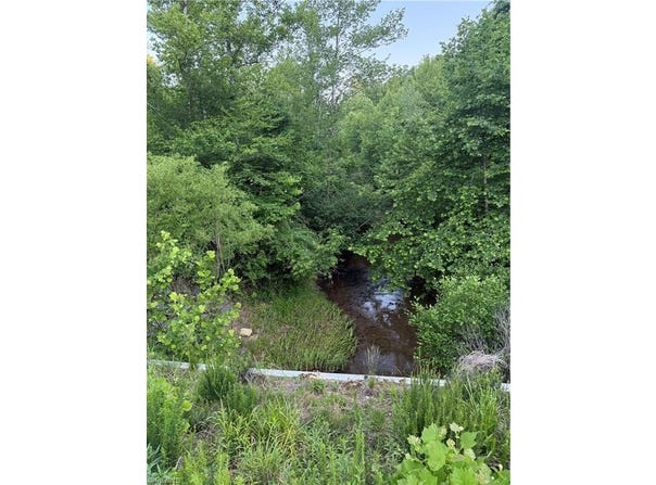 Puckett Road, Westfield, NC 27053