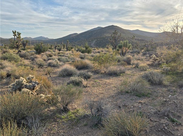 329-08-243 W Inyo Drive, White Hills, AZ 86445