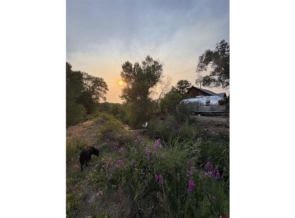 480 Cedar Avenue, Crawford, CO 81428