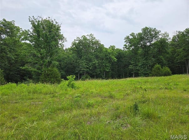 0-1 Mark Peterson Drive, Wright City, MO 63390