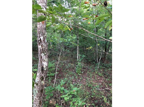 39 Luka Ln lot: 70, Crossville, TN 38572