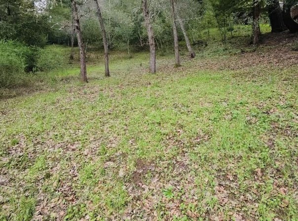 15971 Forest Hill DR, BOULDER CREEK, CA 95006