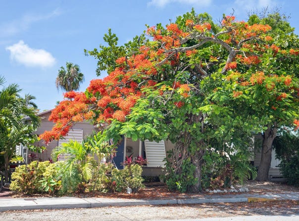 3712 Duck Avenue, Key West, FL 33040