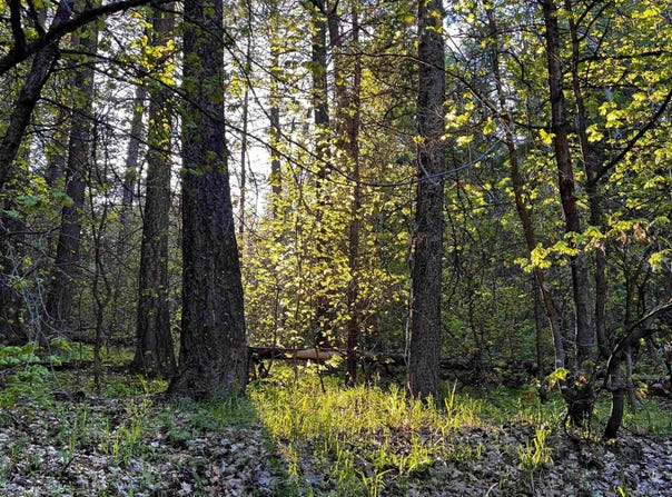 237 Marten Drive, Lava Hot Springs, ID 83246