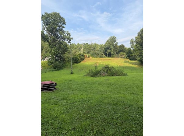 799 Pearl Hill Rd, Delbarton, WV 25670