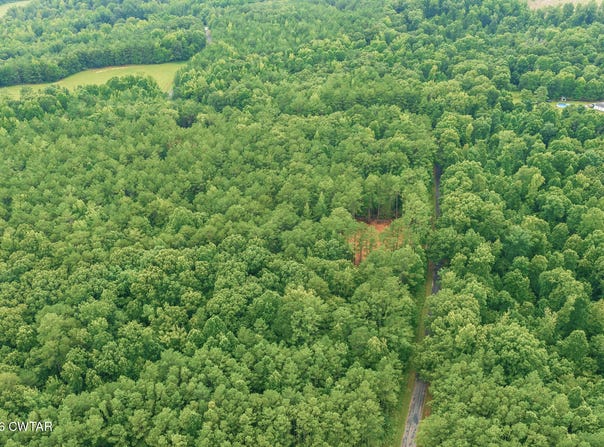 Old Lula Road, Reagan, TN 38368