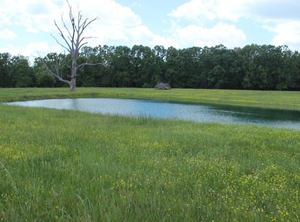 W Highway, Thayer, MO 65791