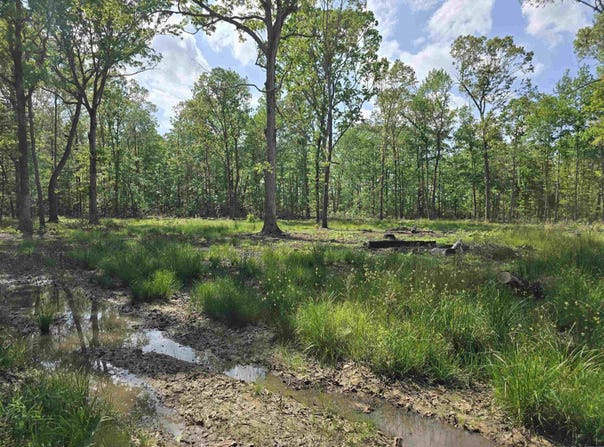 588 Lebanon Road, McRae, AR 72102