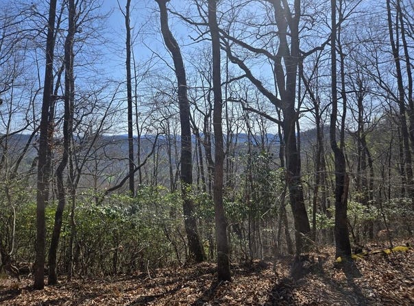 Brasstown Road, Cullowhee, NC 28723