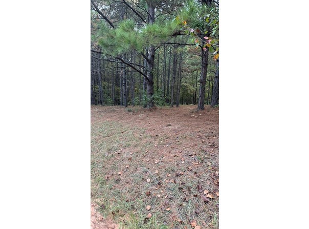 220 Kennon Drive, Hemphill, TX 75948