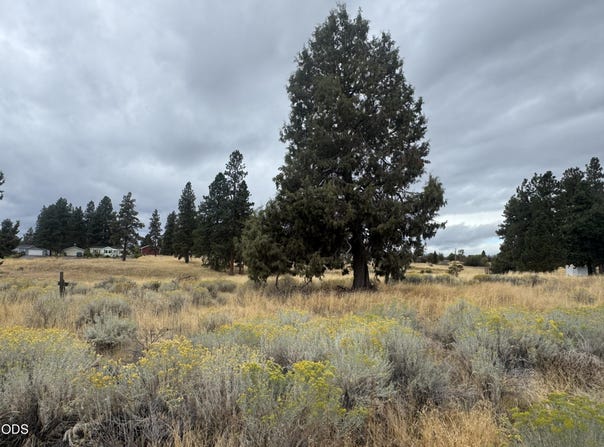 Meadowview Drive lot: 2, Chiloquin, OR 97624