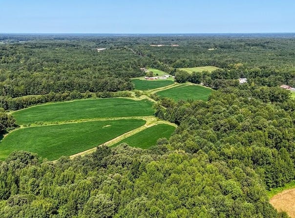 Finch Rd, GLEASON, TN 38229