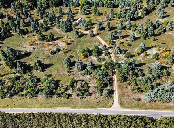 17194 Litzen Road, Copemish, MI 49625