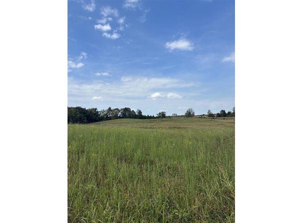 2771 McMahanRoad, Utica, KY 42376
