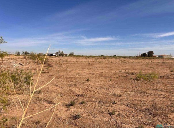 BRANTLEY Rd, Carlsbad, NM 88220
