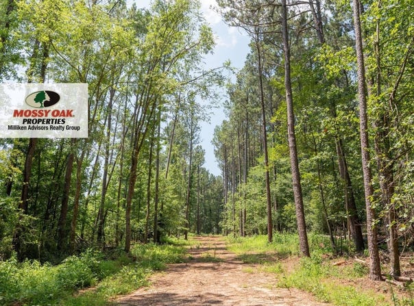 802 Packer Ave, Greenwood, SC 29646