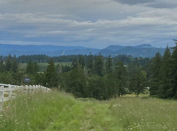 Lazy E Way Parcel 3, Creswell, OR 97426