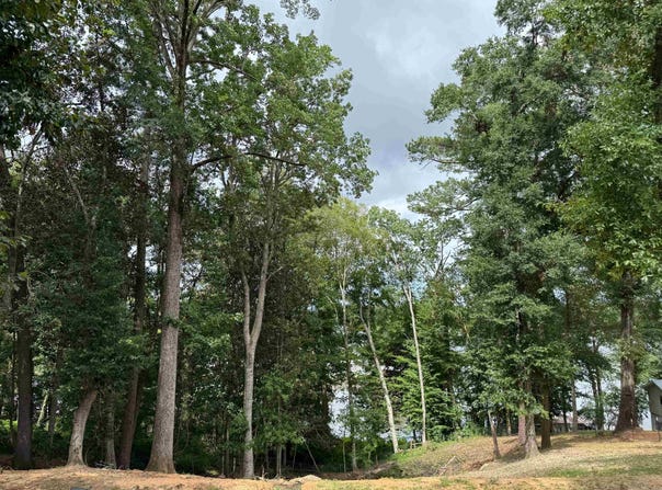 Pier 7 Rd, Andalusia, AL 36421