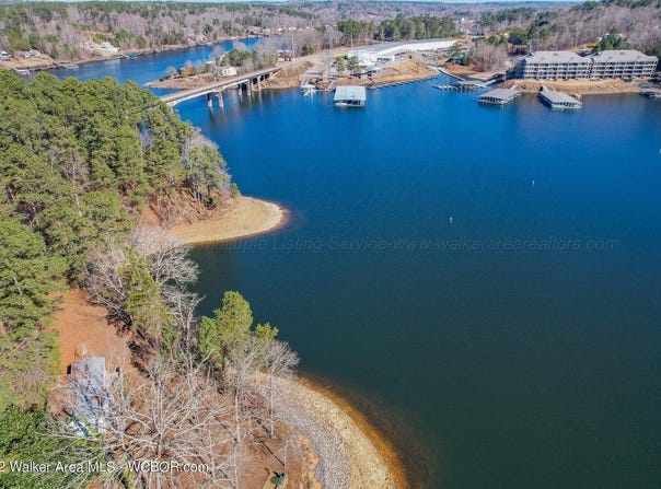 21416 COUNTY ROAD 222, Crane Hill, AL 35053