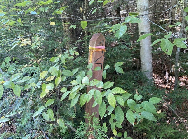 M06-Lot18A Sys Road, Lakeville, ME 04487