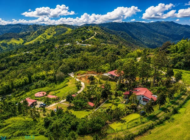 Cayey, Cayey, PR 00736