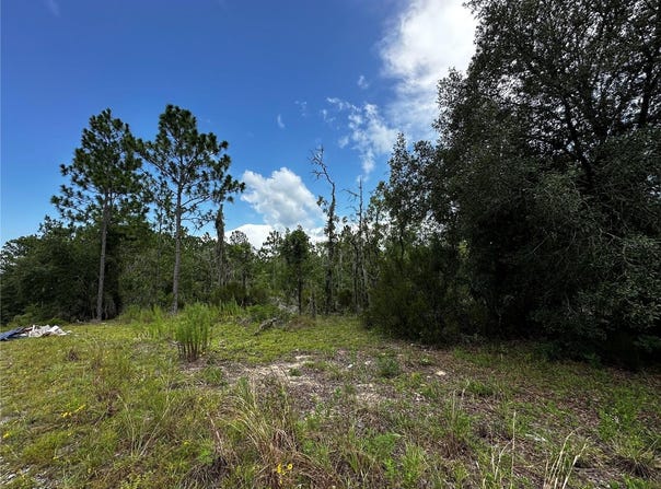 NE 16TH Lane, WILLISTON, FL 32696