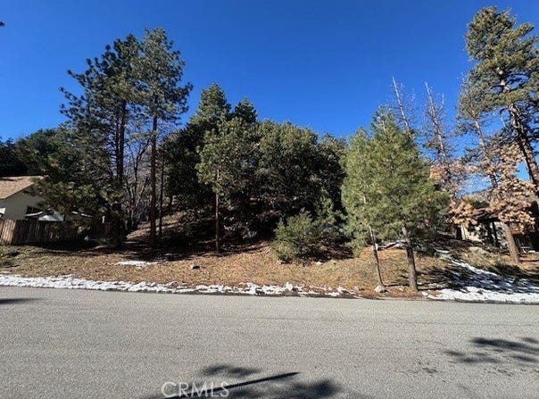 0 Flume Canyon, Wrightwood, CA 92397