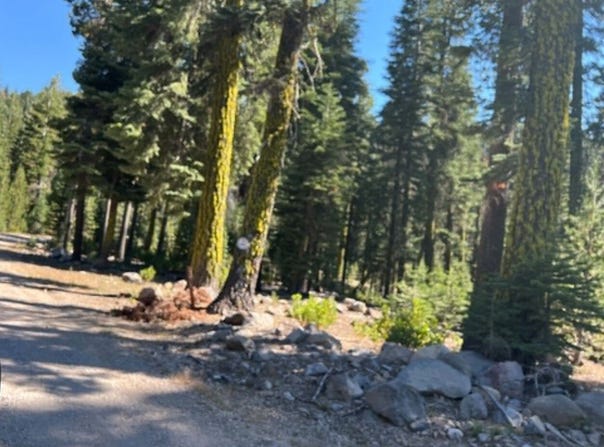 0000 Logging Rd., Viola, CA 96088