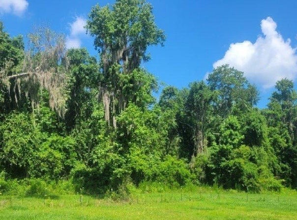 Live Oak, FL 32060