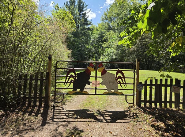 4272 Swan Lake Drive, Allegan, MI 49010