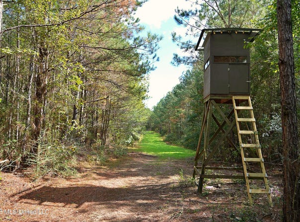 SE Pleasant Grove Road, Ruth, MS 39662