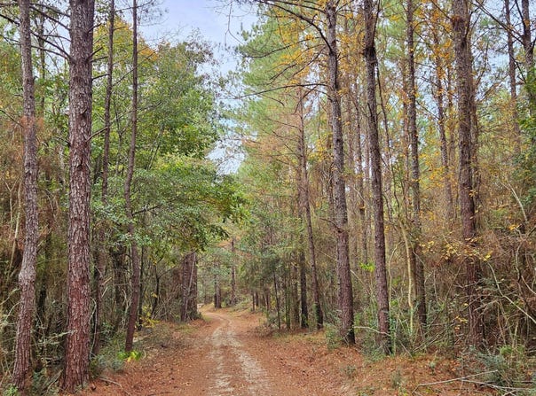 Nhn Firefox, Poplarville, MS 39470