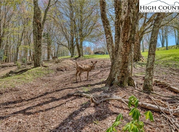 201 Grassy Gap Loop Road, Beech Mountain, NC 28604