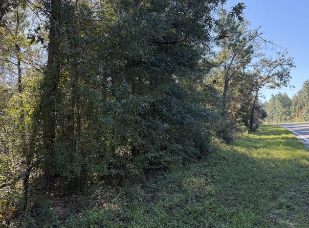 0190 N COUNTY RD 315, Interlachen, FL 32148