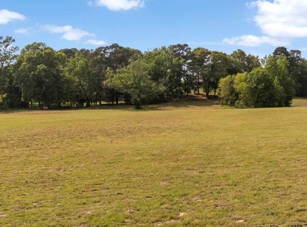 67 Acres S Live Oak Rd, Gilmer, TX 75644