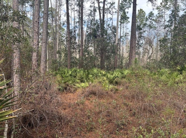Old Grade Road, FL 33868