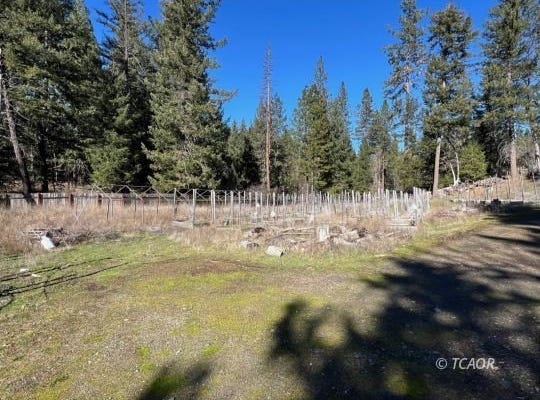 740 Trinity Pines Dr, Hayfork, CA 96041
