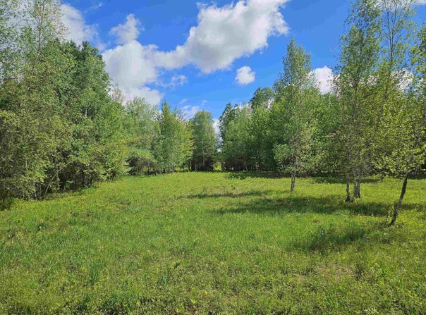 Dukes Road, Johnson, VT 05656