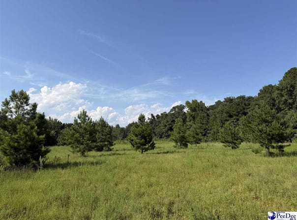 Stoney Court, Dillon, SC 29536