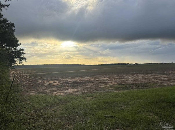 1 Old Stage Rd, Repton, AL 36475